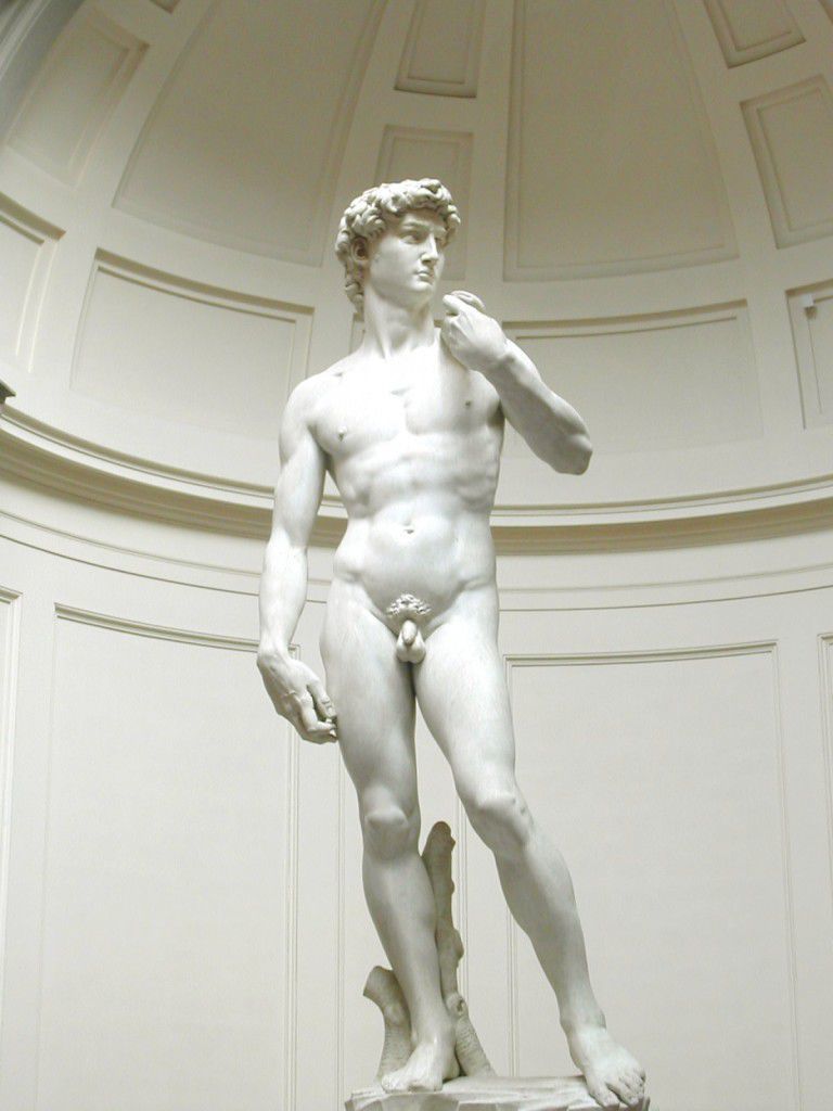 The Michelangelo's David in the Accademia Gallery