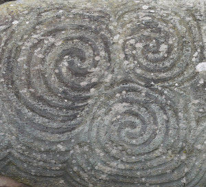Triskele detail, the stone at Newgrange